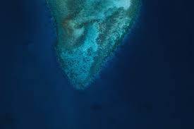 Subhashree sahu second viral video the lady is the person