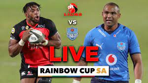 Here on sofascore livescore you can find all lions vs bulls previous results sorted by their h2h matches. 41lfddsuubur7m