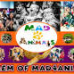 Mayhem of Mad4animals - Rivert Dart Country Park event image