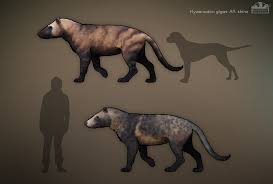 Hyaenodon Gigas Prehistoric Animals Extinct Animals Prehistoric Wildlife