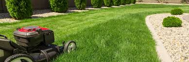 Your Guide to Year-Round Lawn Care Success | PowerPro Equipment