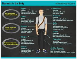 Which Elements Are In The Human Body Infographic Health Human Body Chemistry