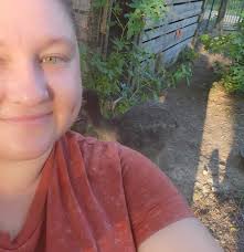 Who can pick up a baby owl for rescue and rehabilitation in Arkansas?