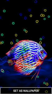 Download and use 5,000+ neon stock photos for free. Neon Animals Wallpaper Moving Backgrounds For Pc Windows And Mac Free Download