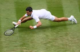 Novak Djokovic On Twitter Spider Man Returns Hahahaa Let The Memes Begin Wimbledonthing