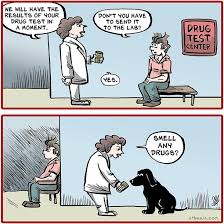 Jun 02, 2021 · associated press medina spirit's kentucky derby win in jeopardy after second drug test confirms presence of steroids published: Drug Test Meme Guy