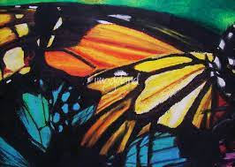 Download Layered Butterfly Wings By Laura Dunce