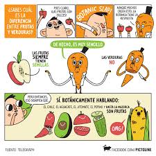 Maybe you would like to learn more about one of these? Cual Es La Diferencia Entre Verduras Y Vegetales Esta Diferencia