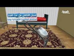 عث الغبار تتكاثر في الفراش والسجاد وتتغذى من قشور جلد الإنسان Youtube