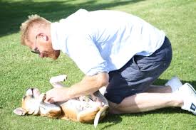 Degree in 1916, and been an assistant at the royal frederick university. Intervju Med Hundcoachen Fredrik Steen Dogbuddy Blog