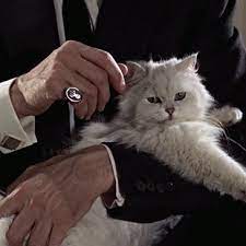 Check out our latest 50 animated cat gifs & kitten gifs • cat gif website • 100% original content • daily updates. Blofeld Classic Film Continuity James Bond Wiki Fandom