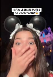 Lebron James Going to The Disney Party