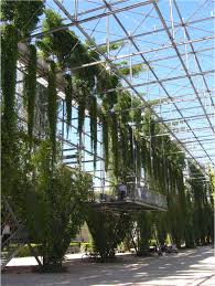 Landscape Architecture Garden Design Planting Design And Management Green Architecture Landscape Architecture Landscape Design