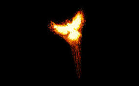 Wallpaper Minimalism Fire Sparkler Phoenix Myth Bird Flame Rise Font 2560x1600 Coolwallpapers 625889 Hd Wallpapers Wallhere Find the best cool phoenix wallpaper on getwallpapers. minimalism fire sparkler phoenix