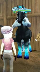 Pin By Astrid Silentbaker On Sso Memes In 2020 Star Stable Horses Star Stable Horse Games