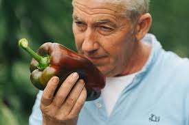 Silire- Silire Frutas