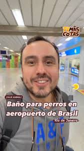 ¡VIAJE ANIMAL! Baño para perros en el Aeropuerto Internacional de Río de  Janeiro en Brasil., Queridos amigos, ando de viaje en Río de Janeiro,  Brasil, y les comparto que en el sector para retirar las ...