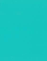 Our skilled team is full of pro aquascapers. Aqua Green Evershine