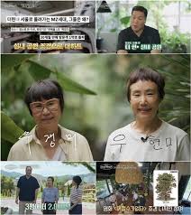 스포츠경향 - News update