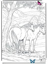 Free Coloring Pages For Adults Animals Coloring Pages Horses Free Coloring Pages Horse Br In 2020 Horse Coloring Pages Animal Coloring Pages Coloring Pages