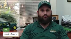 Working in the office doing general admin. Brody Brothers Pest Control Home Facebook