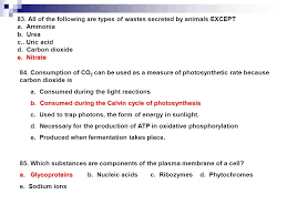 This is primarily due to the absence of the cell wall, which is a characteristic feature of plant cells. Studying For The Ib Bio Midterm Ppt Download