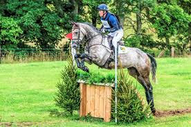 Applebridge character asks oliver townsend. Oliver Townend Sets World Record At Burgham Everything Horse
