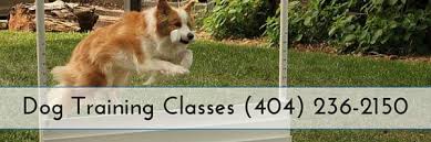 We also invite potential adopters to schedule appointments to meet their new best friend. Dog Training In Forsyth Ga Cpt