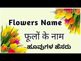 Flowers Name In Kannad English And Hindi Youtube