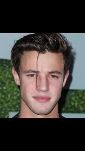 Zayn Malik and Camereon Dallas