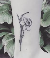 Ashley Hamilton On Instagram Its A Daffodil Day Daffodils Daffodiltattoo Legtattoo Li Daffodil Tattoo Narcissus Flower Tattoos Daffodil Flower Tattoos