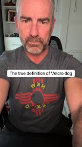 What it’s like to live with a Doberman. Never have to worry about  overworking 😅. #bruceofrubydoobydo #brucethedoberman #doberman #dobermann  #rubydooby_do #dogsofinstagram #showdogs