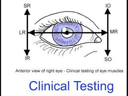 Clinical Testing Extraocular Muscles Tutorial