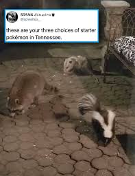 They are rarely found in grizzlies west. Choose One Album On Imgur