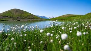 Locations Orcieres Activites Station De Ski Orcieres Merlette