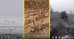 Effects of climate change video. Causes And Effects Of Climate Change National Geographic N Iussp