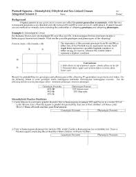 In com plants, normal height, n, is dominant to short height, n. Monohybrid And Dihybrid Crosses Worksheet Answer Key Fill Online Printable Fillable Blank Pdffiller