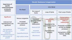 Image result for Loop Diuretic