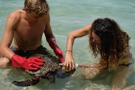 Barefoot Manta, Fiji...