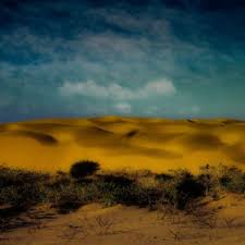 Download Wijin album songs: Rocky Hunter