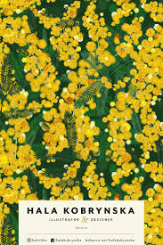 Pin On Flower