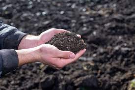 We did not find results for: How To Improve Soil Fertility For Productivity Simplify Gardening
