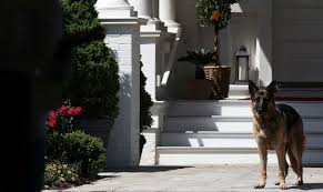 The residence of the vice president on the grounds of the united states naval observatory in washington will undergo repairs, forcing kamala harris to take up temporary residence. Xuxkuxk1c0njwm