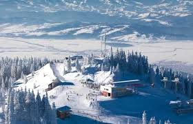 Statiune turistica climaterica moderna a sporturilor de iarna, de interes national si international, la poalele muntelui postavaru (la 1.030 m altitudine, la 12 km de brasov), solicitata de. Poiana Brasov Vila Trapez