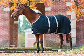 The Saratoga Anti Sweat Sheet Saratoga Horseworks