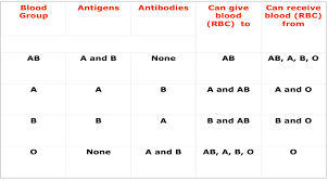 Abo Blood Group Flow Chart Www Bedowntowndaytona Com