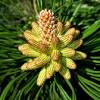 Read reviews from fine flowers wa p at e mill plain blvd in ellsworth springs vancouver 98664 from trusted vancouver restaurant reviewers. 1