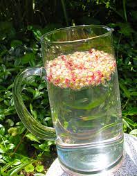 Can You Make Sun Tea With Sumac On A Partly Cloudy Day Following The Path A Daily Journal Between Two Landscape Architects