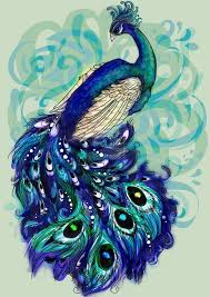 Illustrate thin lines forming the feathers surrounding the whole peacock feather figure. Design Peacock Feather Pencil Drawing Novocom Top