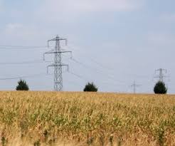 Die maisernte in der landwirtschaftlichen produktion findet von september bis november statt. Im Rheinland Beginnt Gezwungenermassen Die Maisernte Proplanta De